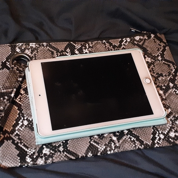 Snakeskin Clutch Purse - Picture 5 of 6